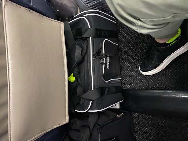 Onyx' Cat Carrier in First Class!