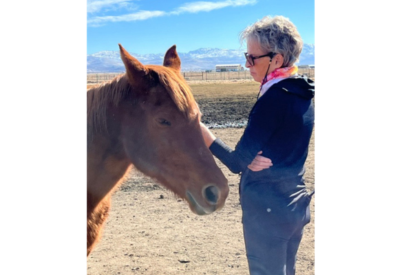 June 27, 2026  An Animal Tale That Ends With A Horse Tale