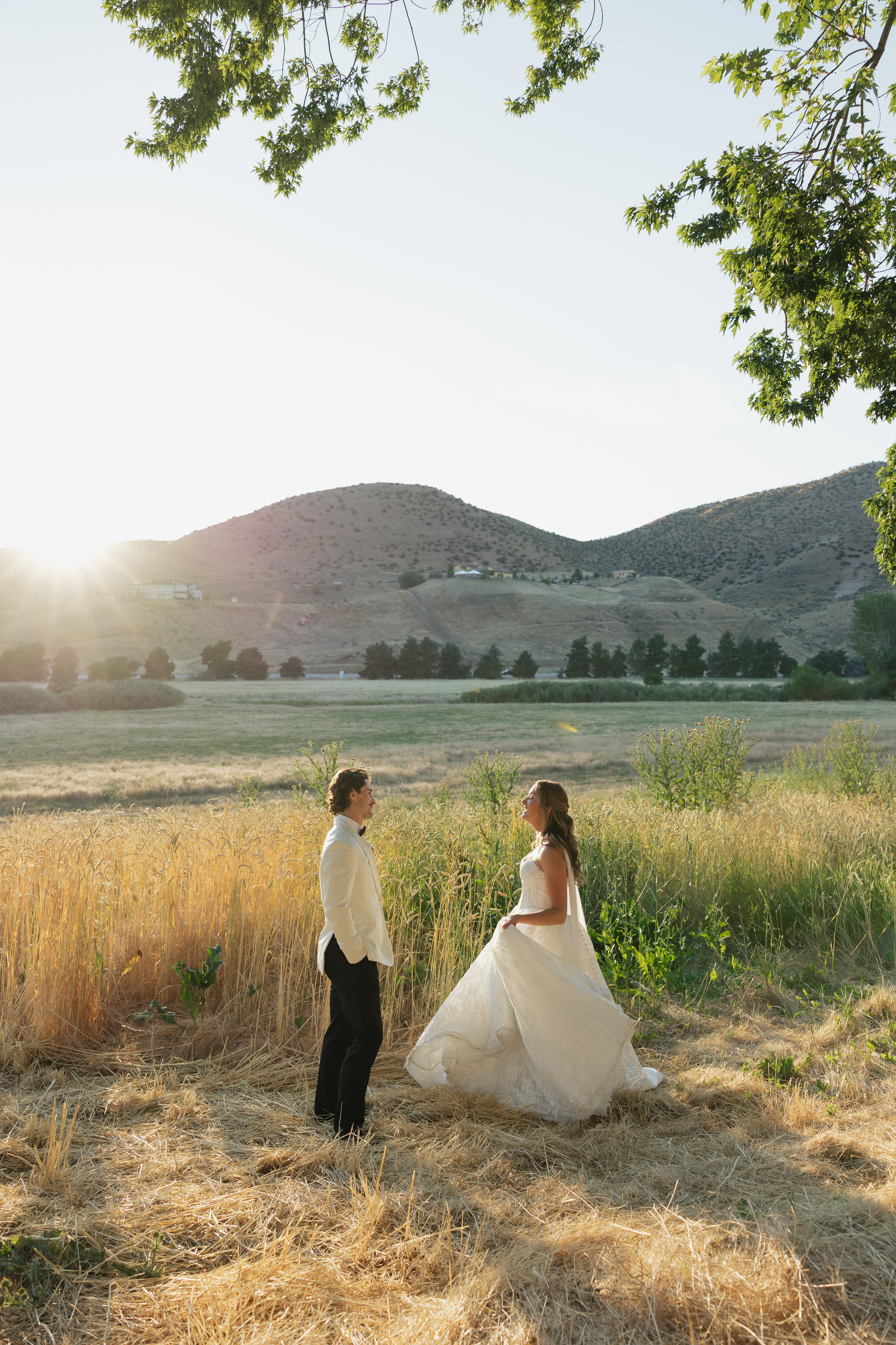 Couple portrait in golden field