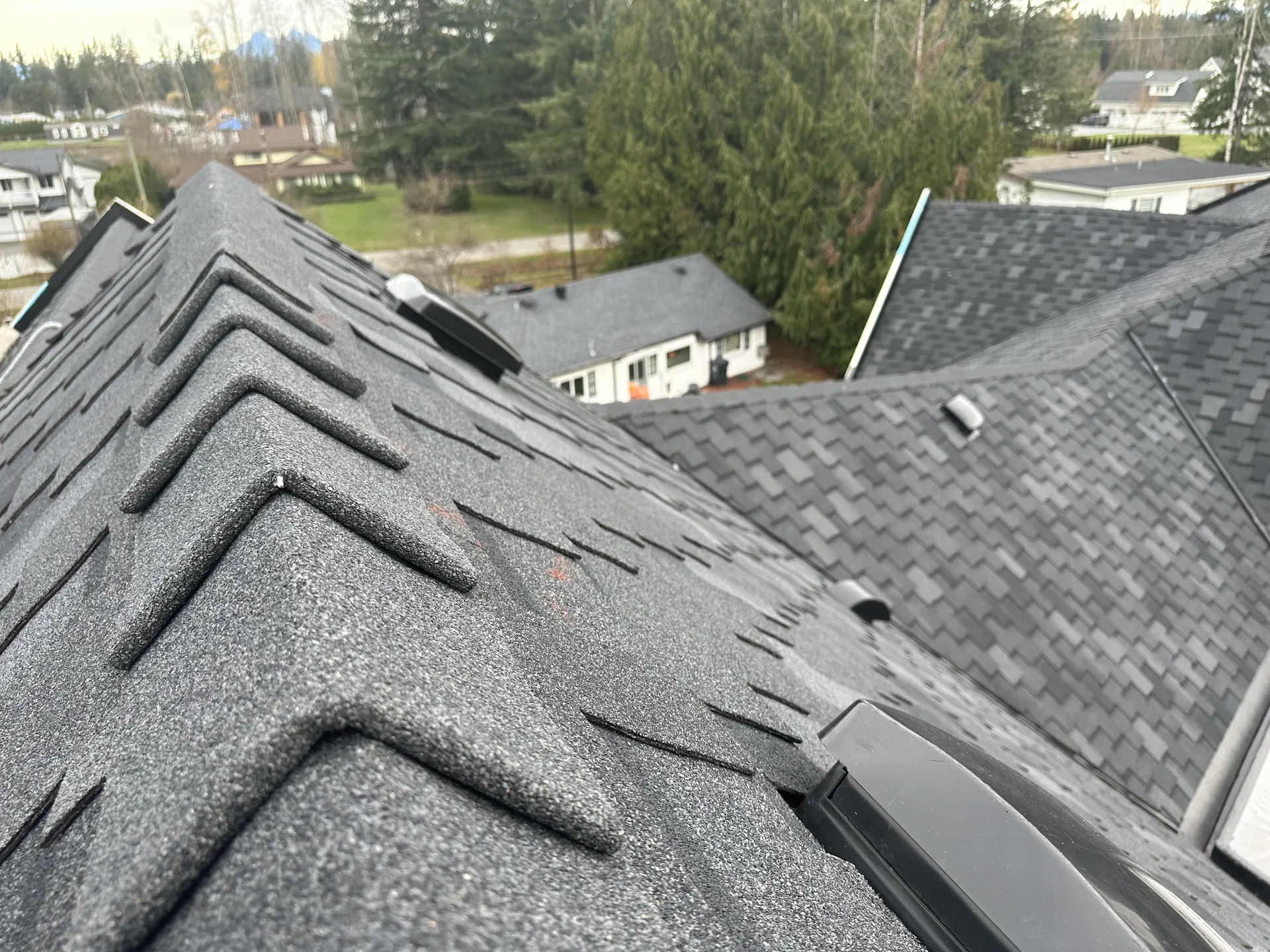 Mansion - roofing project photo 15