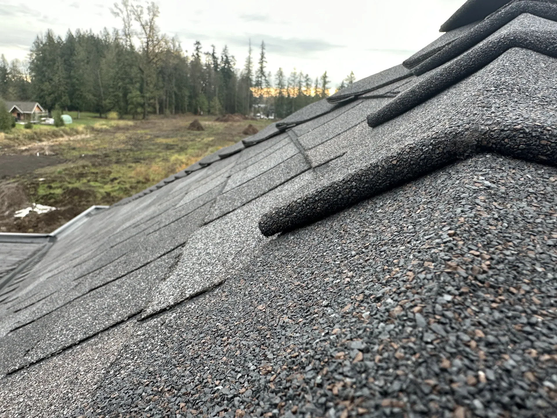Mansion - roofing project photo 6