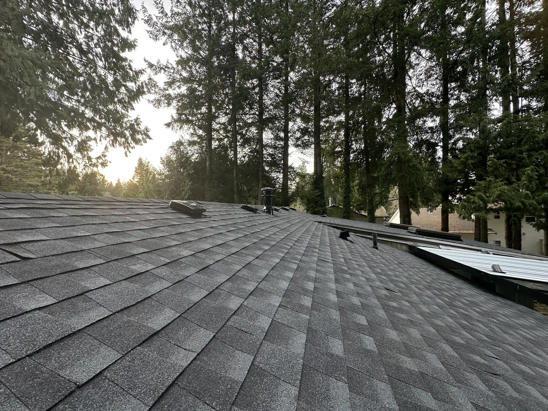 Roof deck and sheathing replacement during a re-roofing project in Metro Vancouver