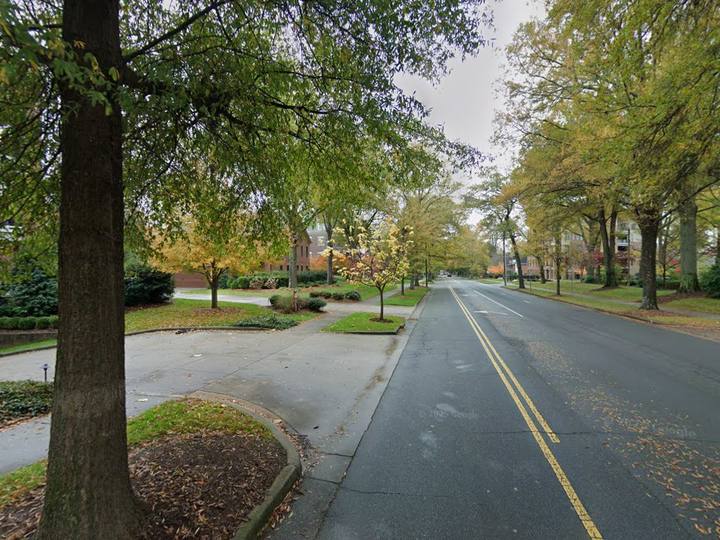Tree-lined Selwyn Avenue in Myers Park, Charlotte