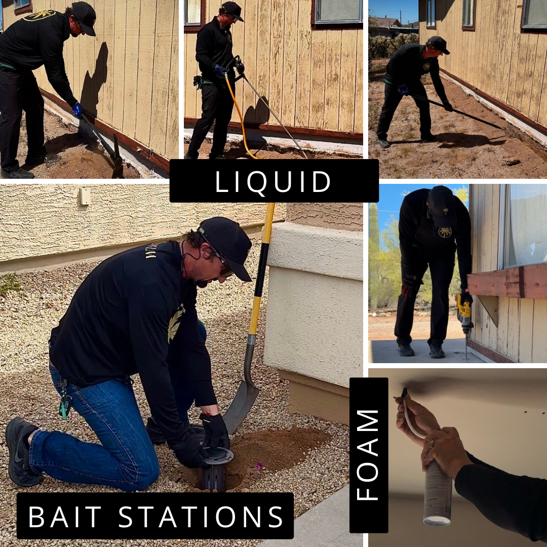 Hybrid termite treatment combining liquid perimeter and bait stations