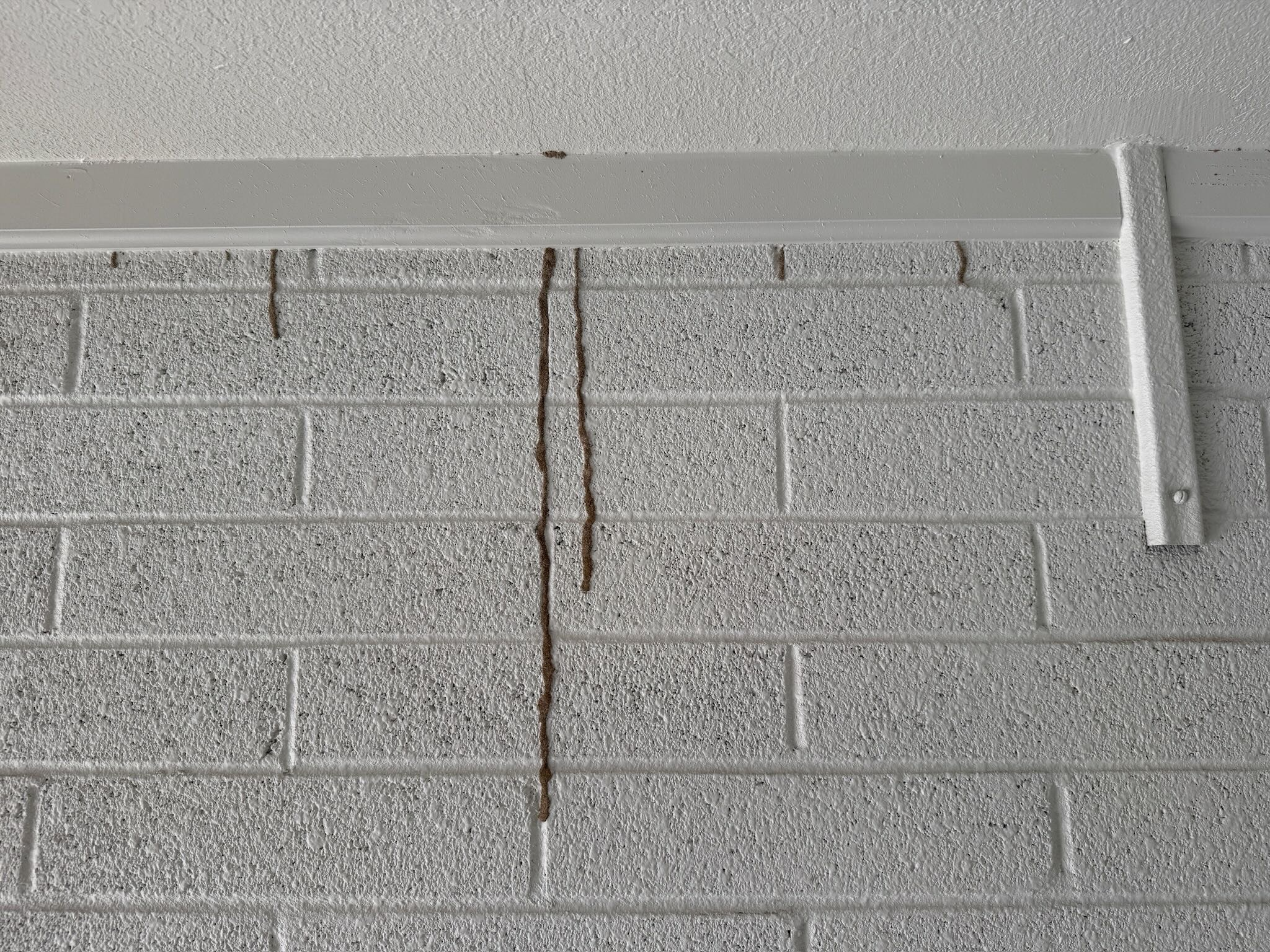 Hidden termite damage inside wood framing