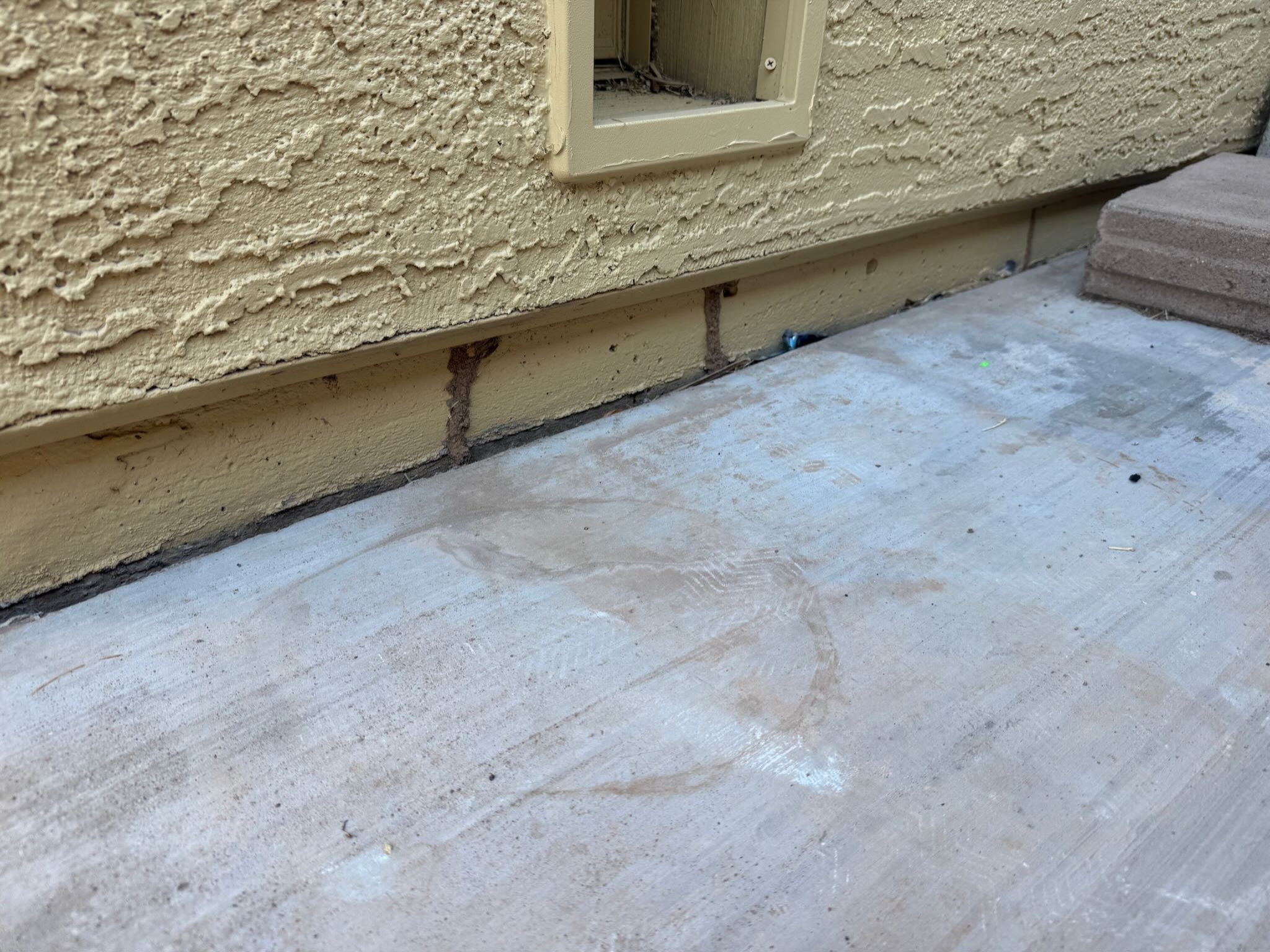 Subterranean termite mud tubes on Arizona foundation