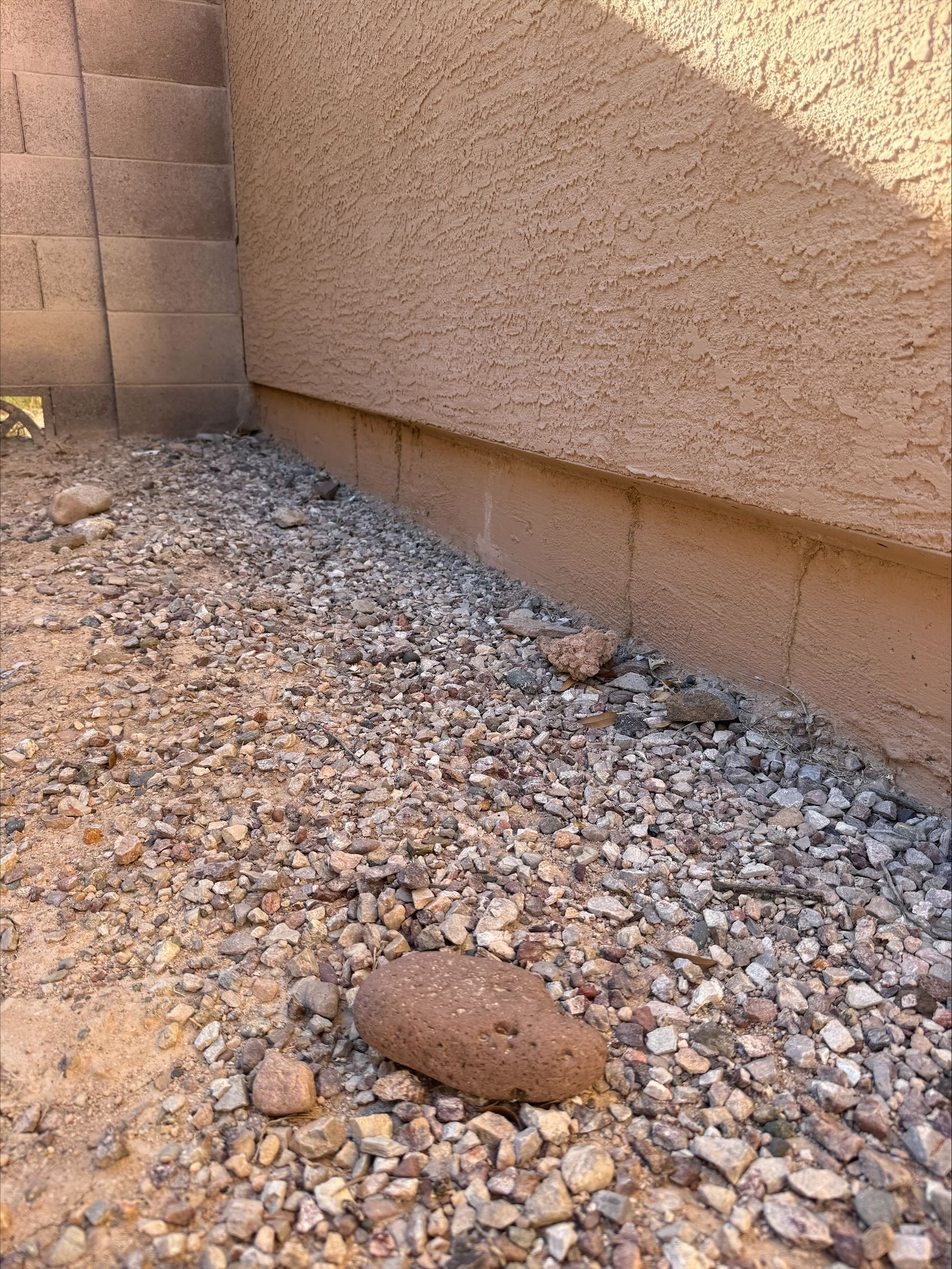 Subterranean termite mud tubes on foundation