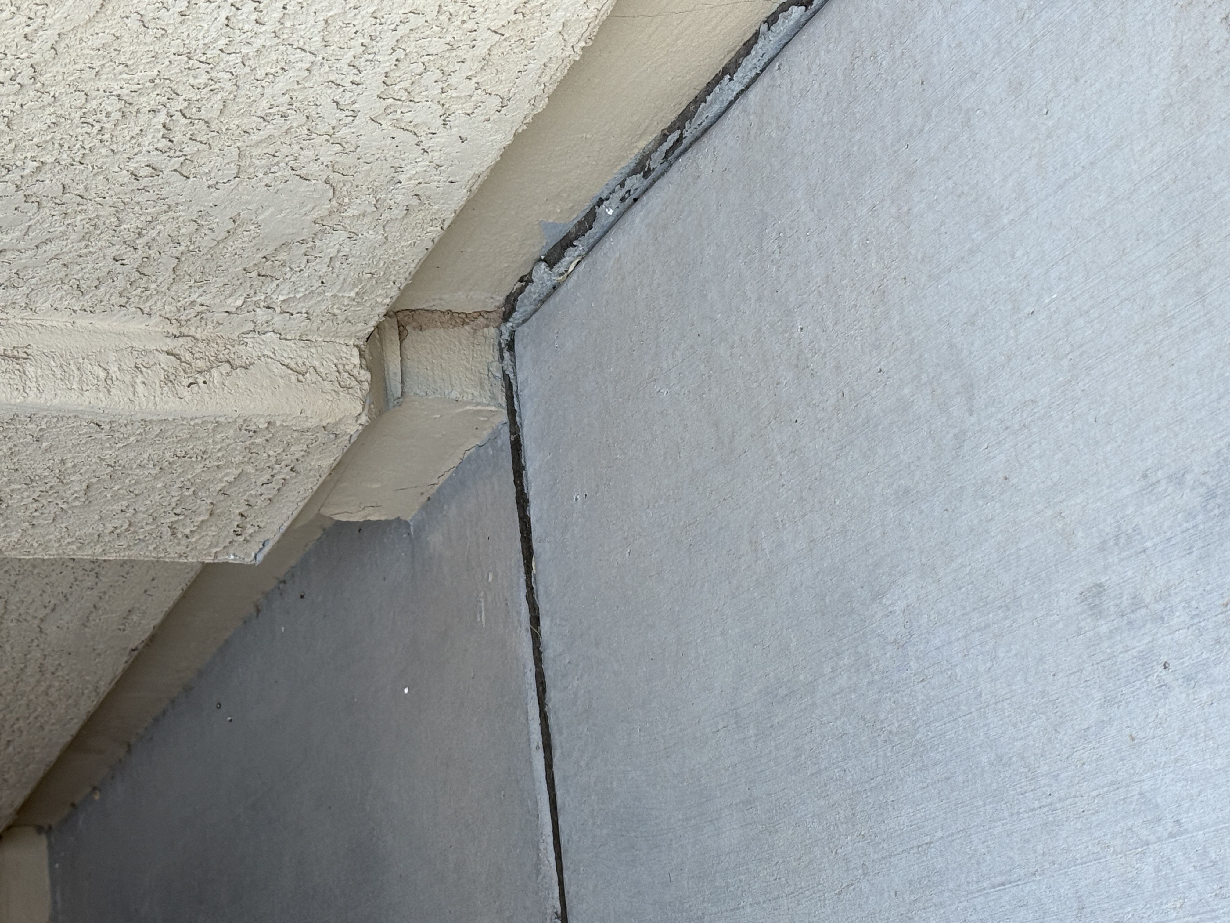 termite tube on foundation at expansion gap on arizona home
