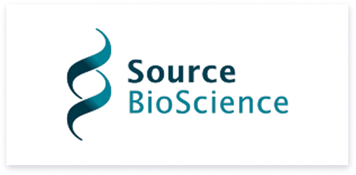 Logo 9