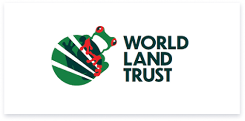 Logo 9