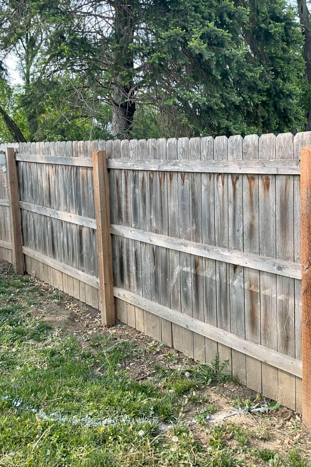 Before: weathered and discolored wood fence