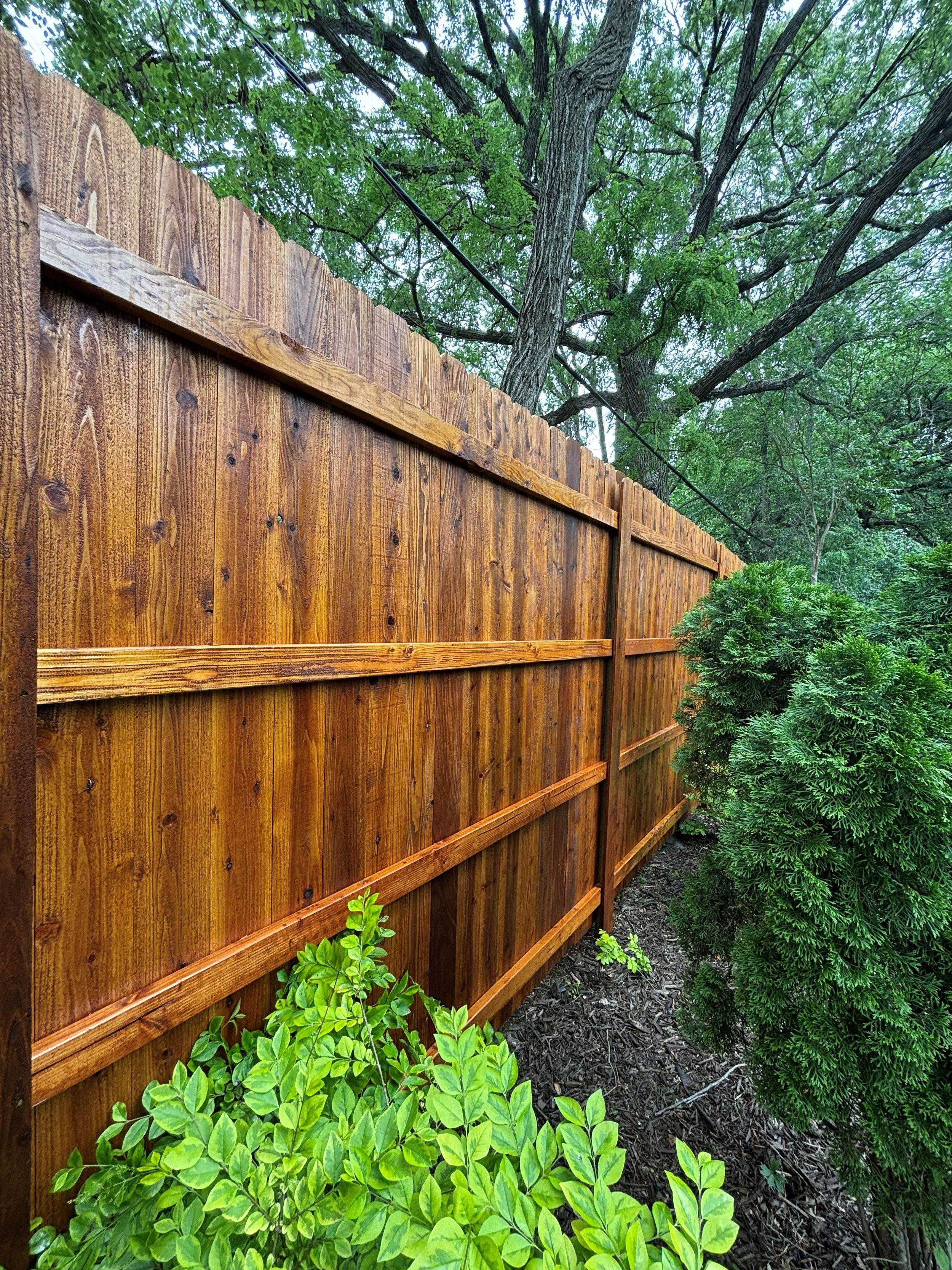 After: restored and stained wood fence