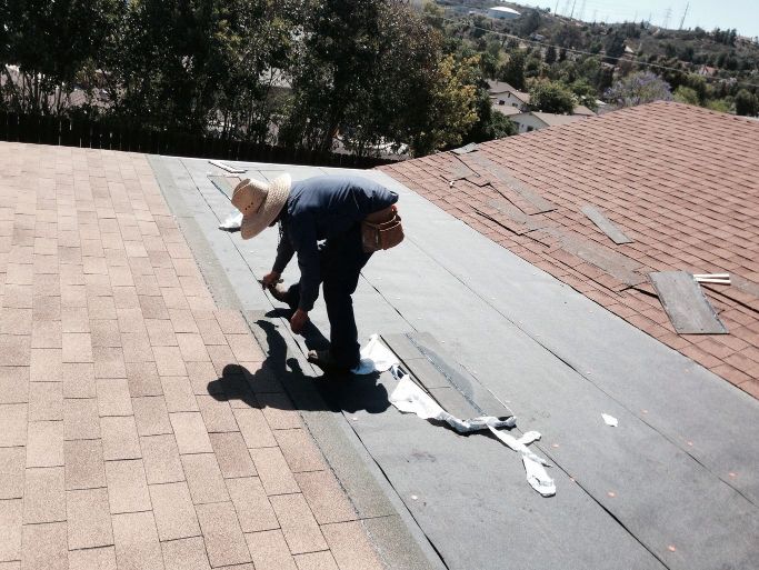 {{ custom_values.service_1 }} in {{custom_values.biz_area_1})