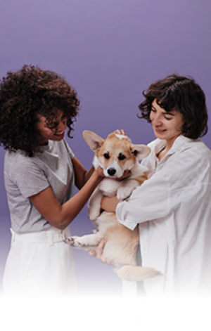 Pet Care