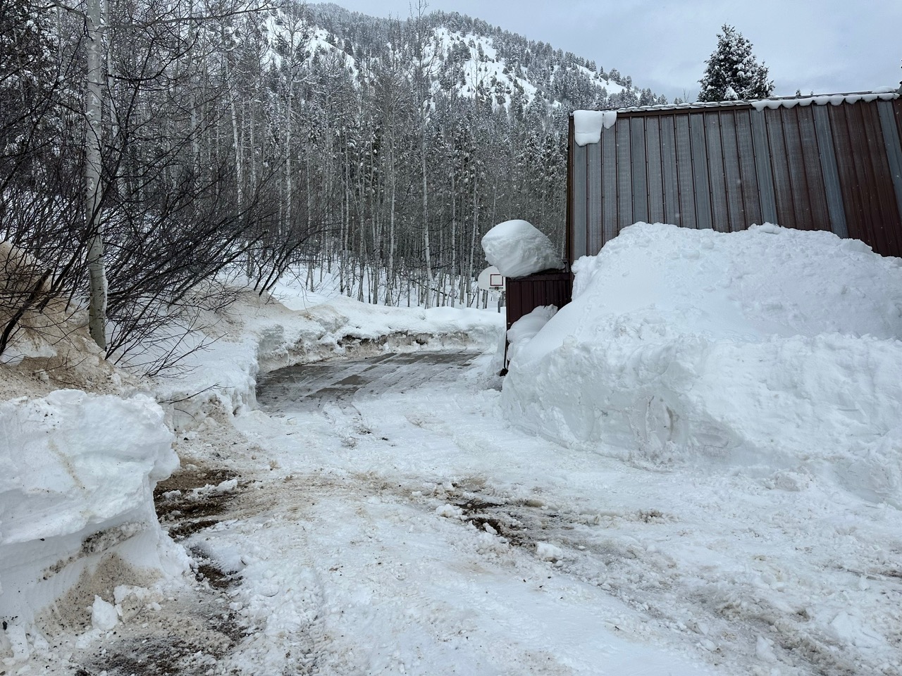 {{ custom_values.service_2 }} in {{custom_values.area_3})