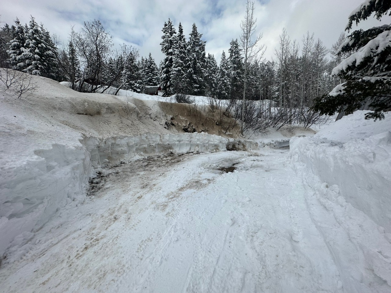 {{ custom_values.service_2 }} in {{custom_values.area_3})