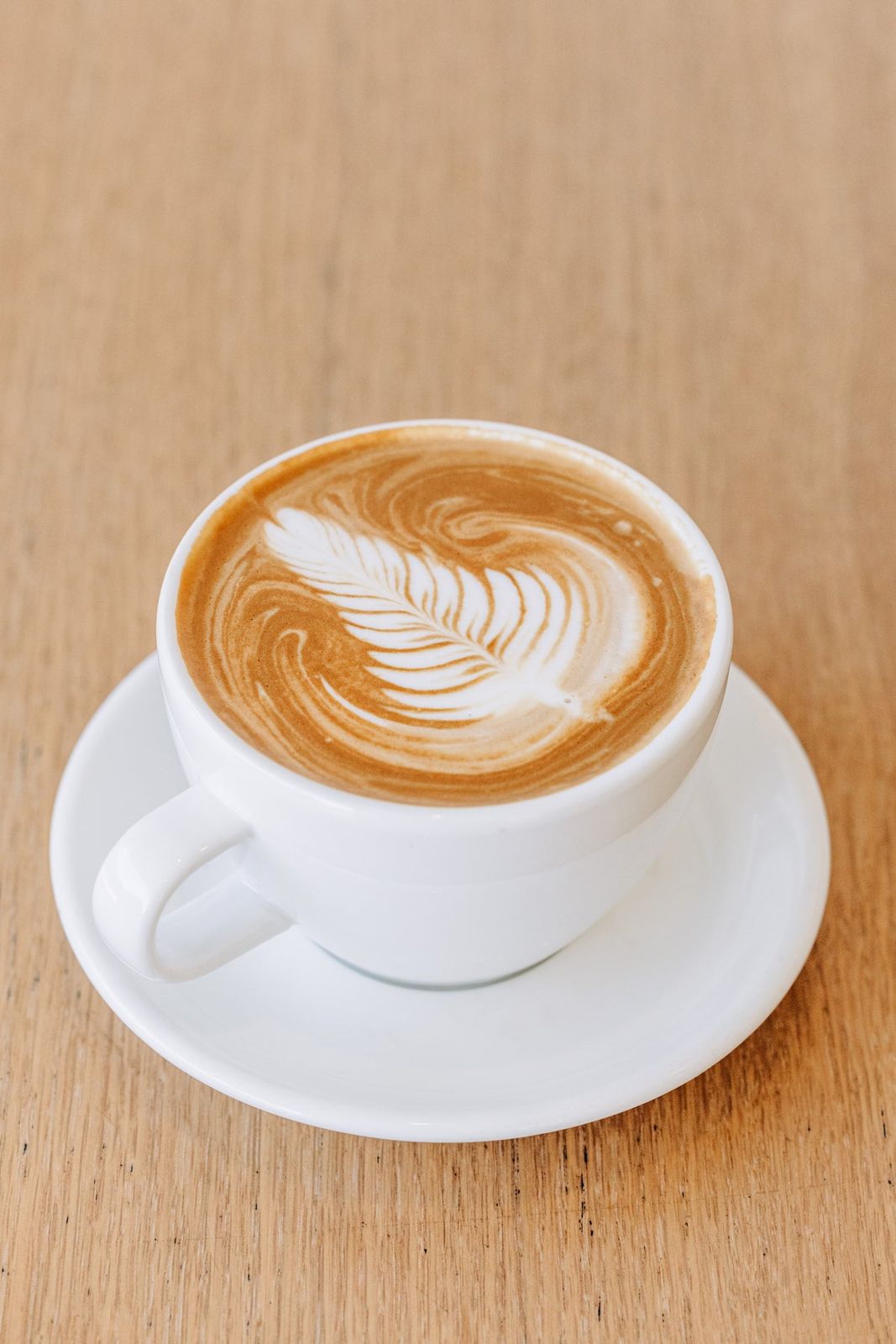 Flat white with latte art — official menu shot