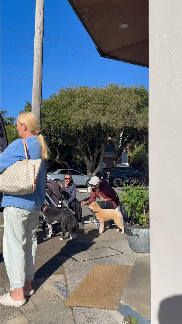 Dogs and regulars on the Akuna sidewalk