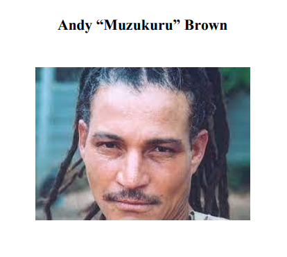 Andy Brown — Zimbabwean Music legend