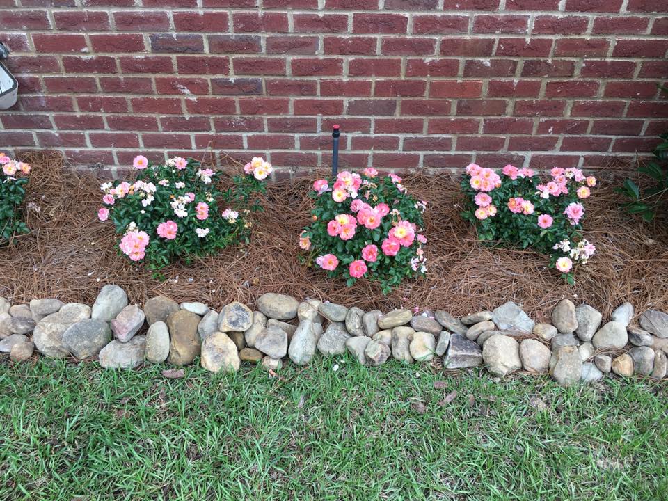 Nicely landscaped flowerbed in Monroe, lA