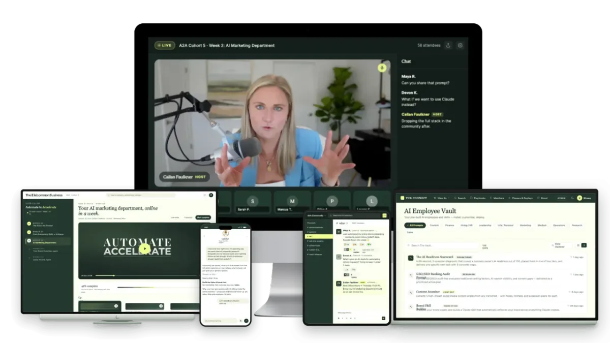 A2A student portal and AI Business Brain