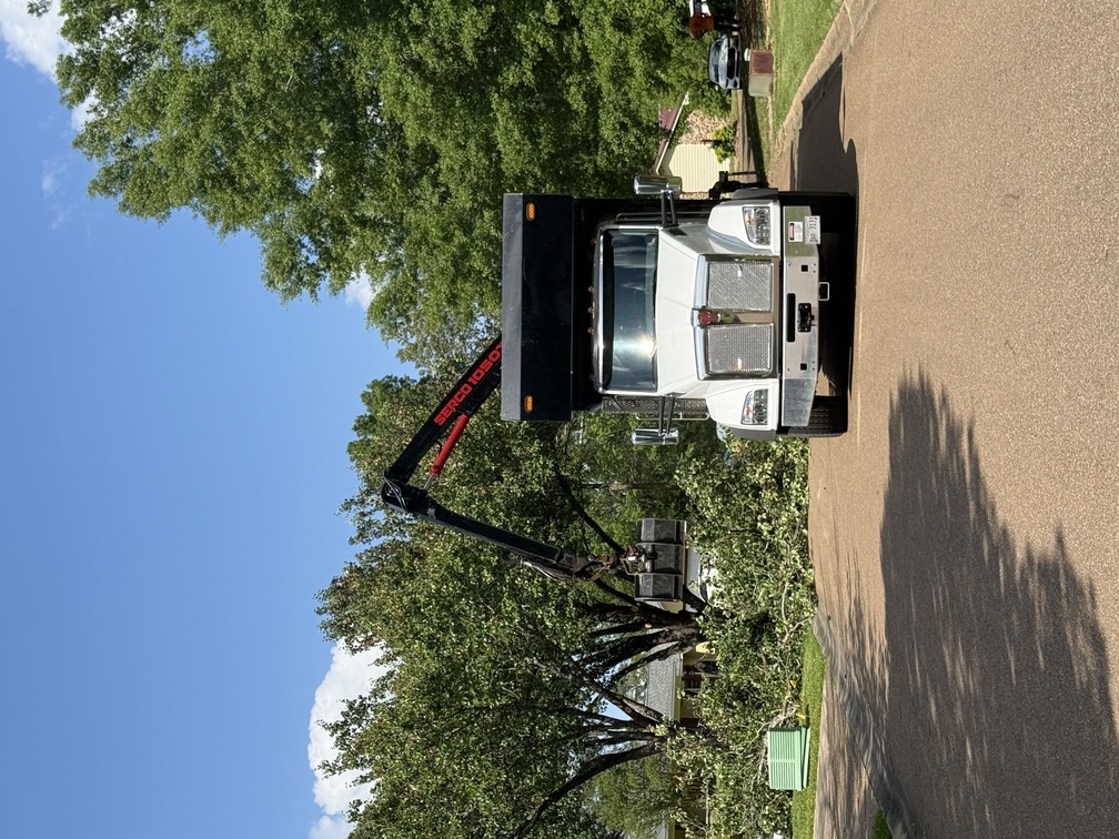 Tree trimming service