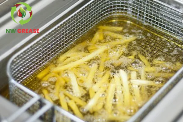 used cooking oil recycling