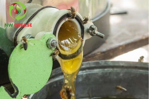 used cooking recycling used cooking recycling