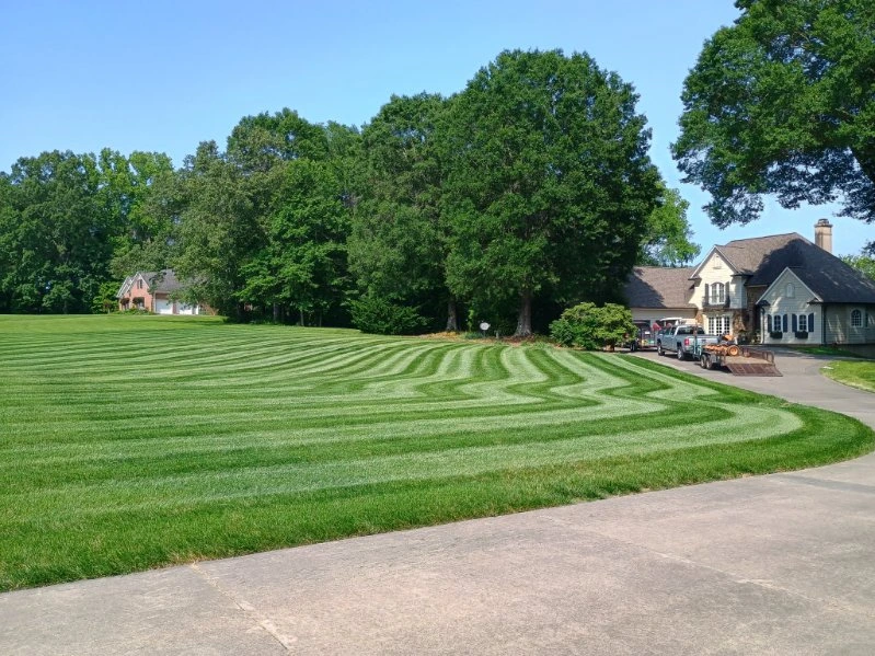 Lawn Mowing