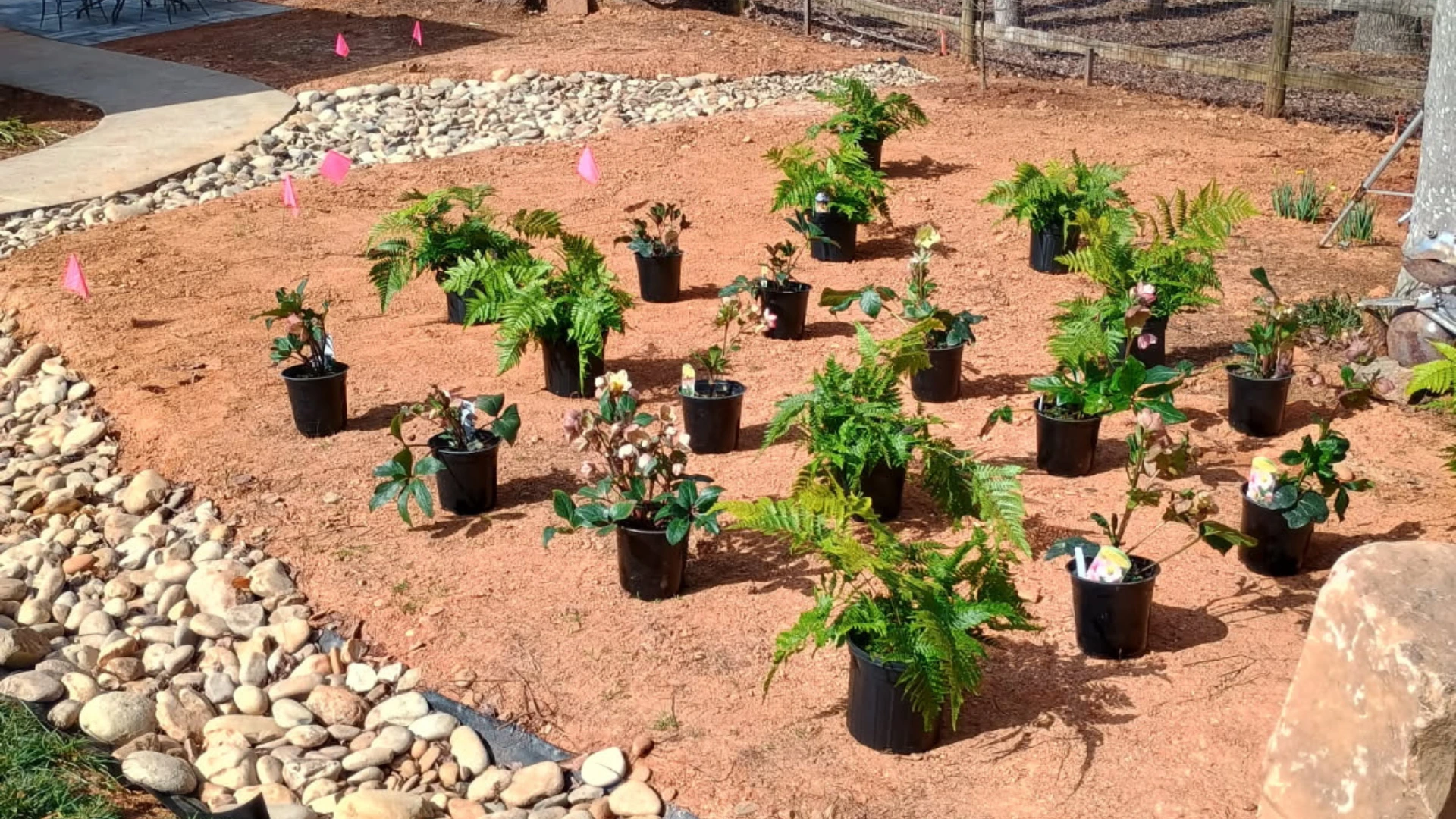 Professional Landscaping