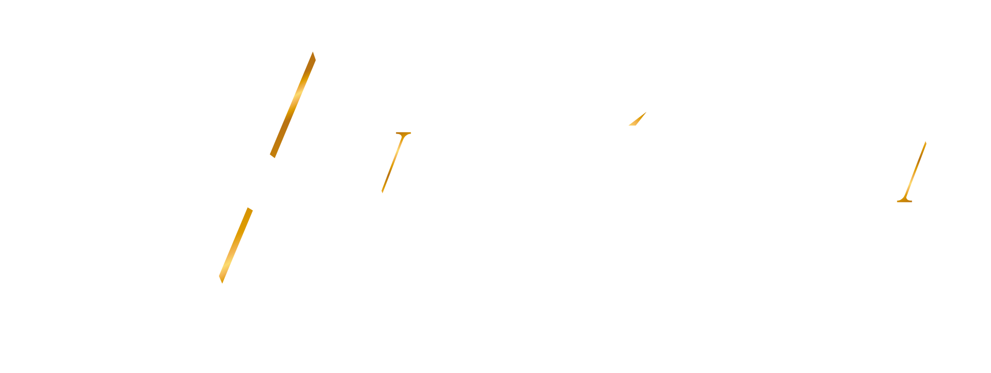 Logo VS