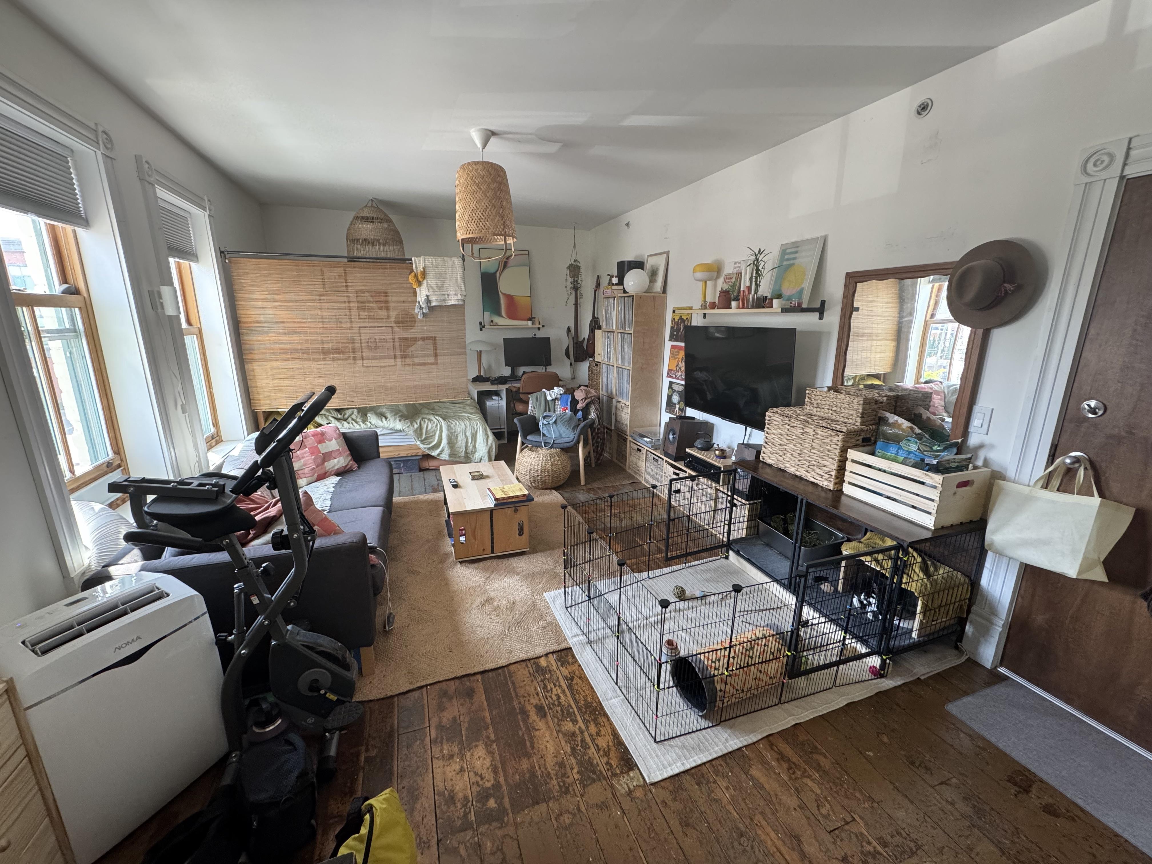 Poole DIY & home clear-outs