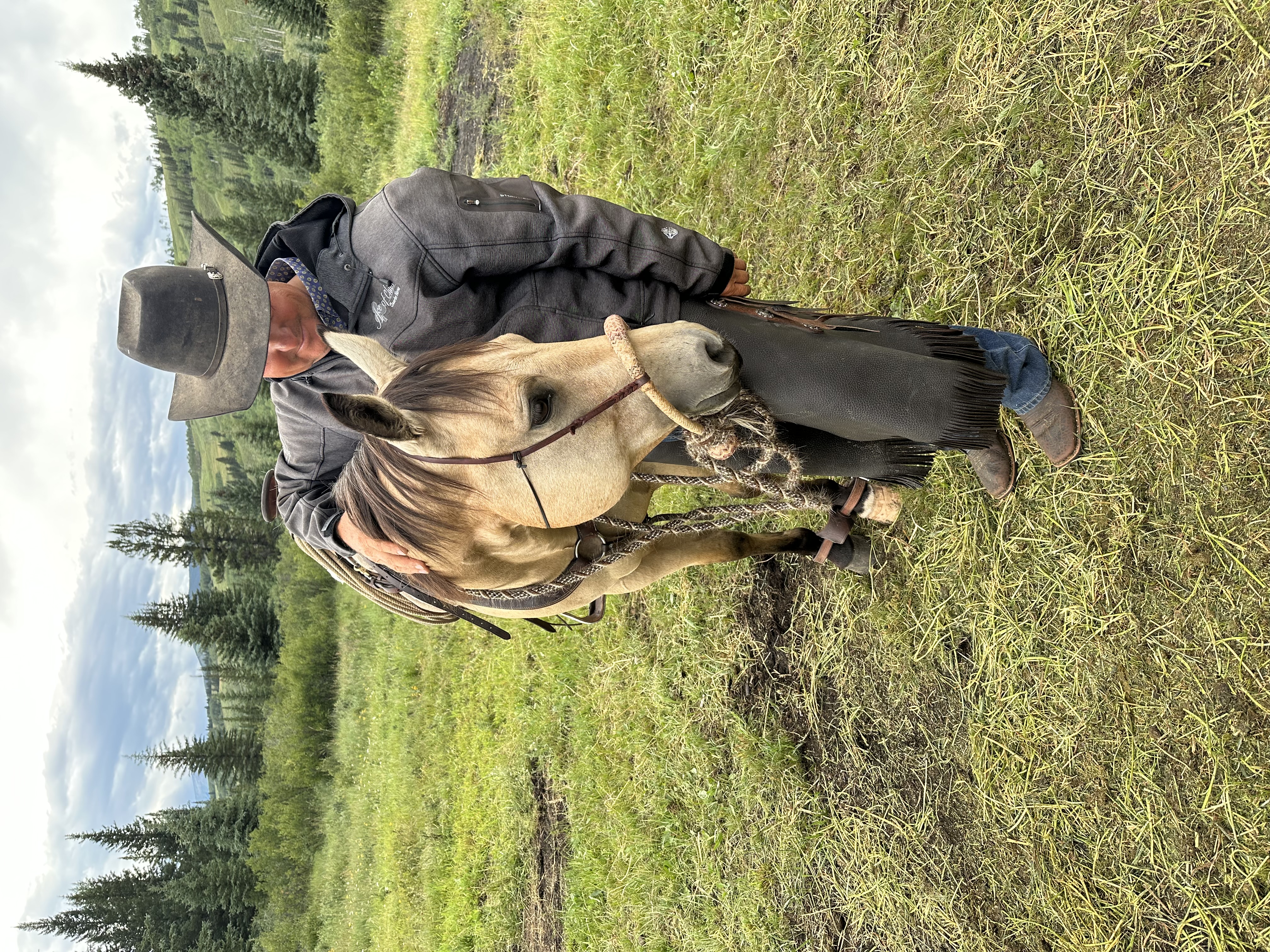 7 Steps to Better Communication With Your Horse