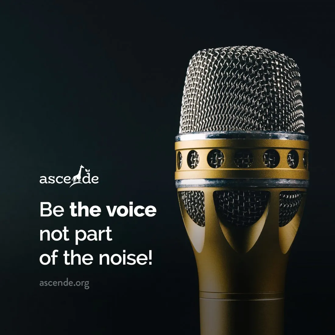 Be the voice not part of the noise!