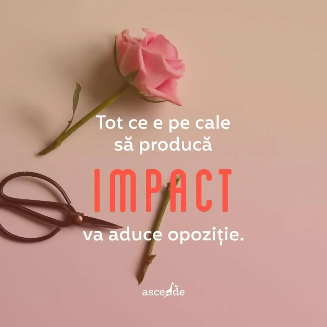 Impact