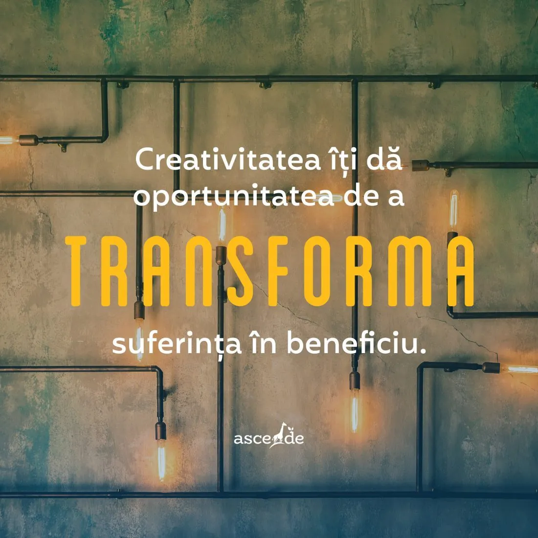 Transformă