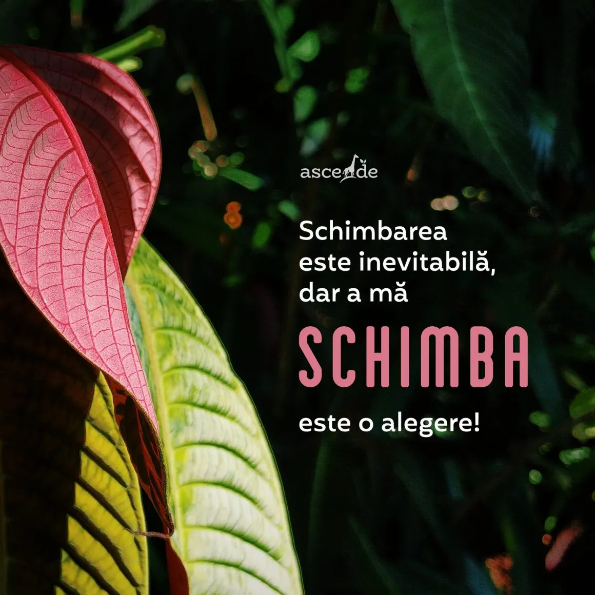Schimbarea este inevitabilă, dar a mă schimba este o alegere! 