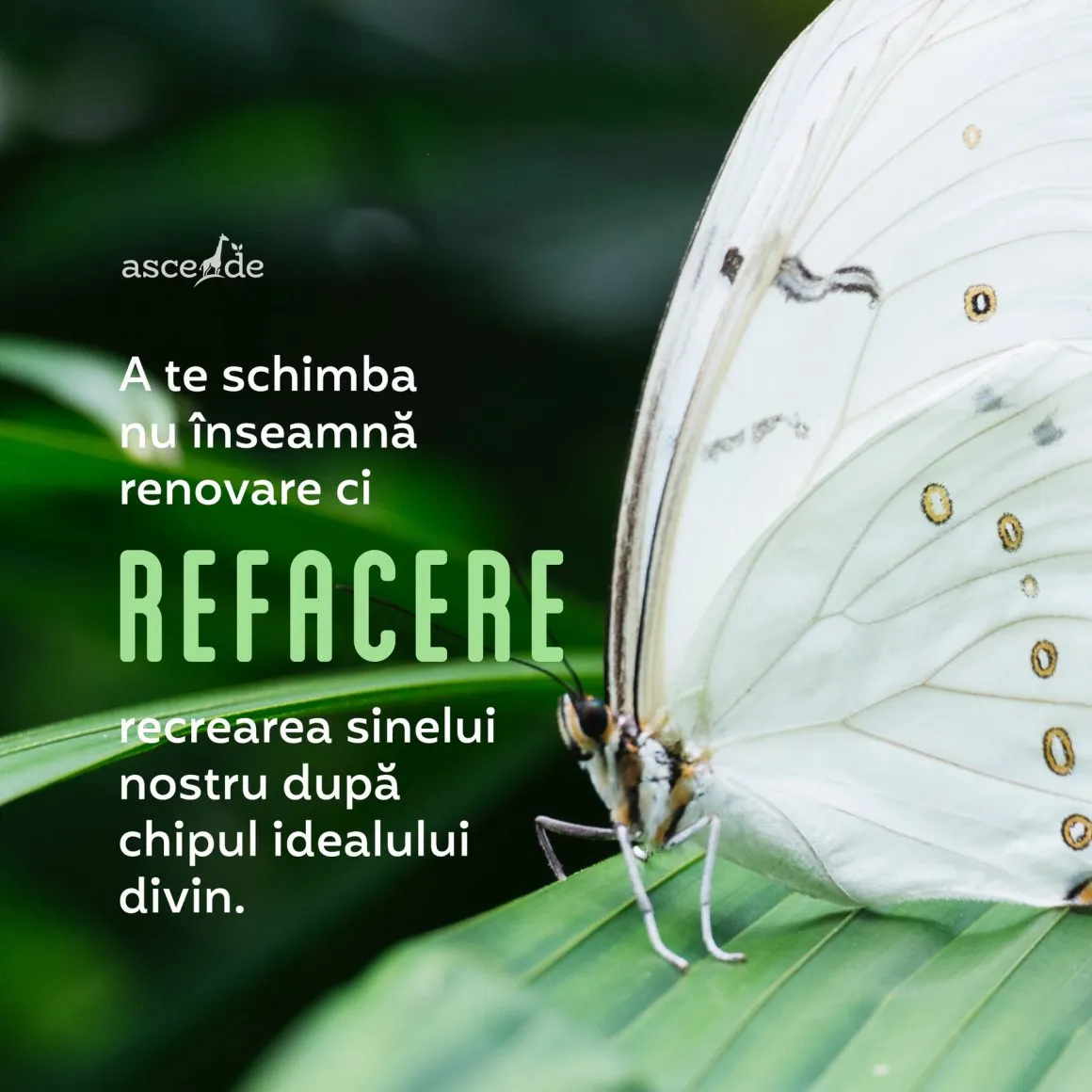 A te schimba nu înseamnă renovare ci resetare, ba chiar refacere, recrearea sinelui nostru după un model cât mai apropiat de standard.