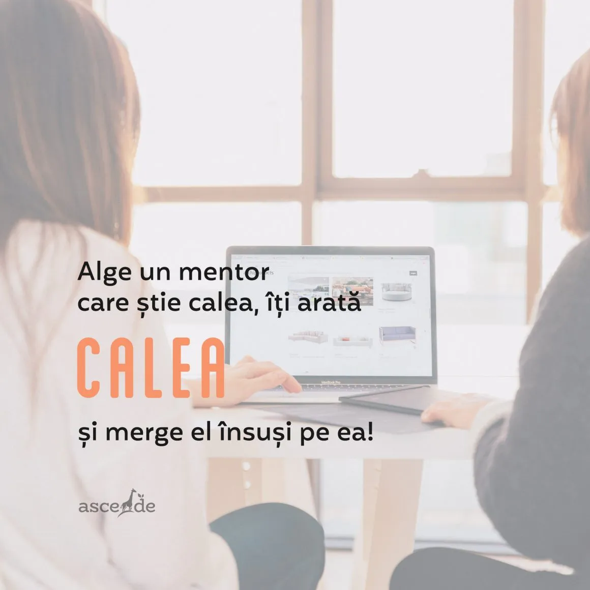 Alge un mentor care știe calea, îți arată calea și merge el însuși pe ea!