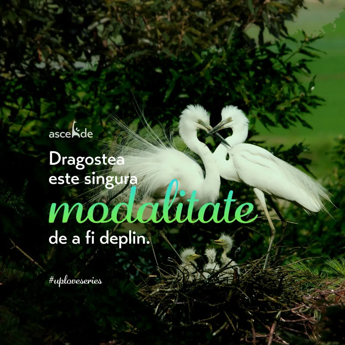 Dragostea este singura modalitate de a fi deplini