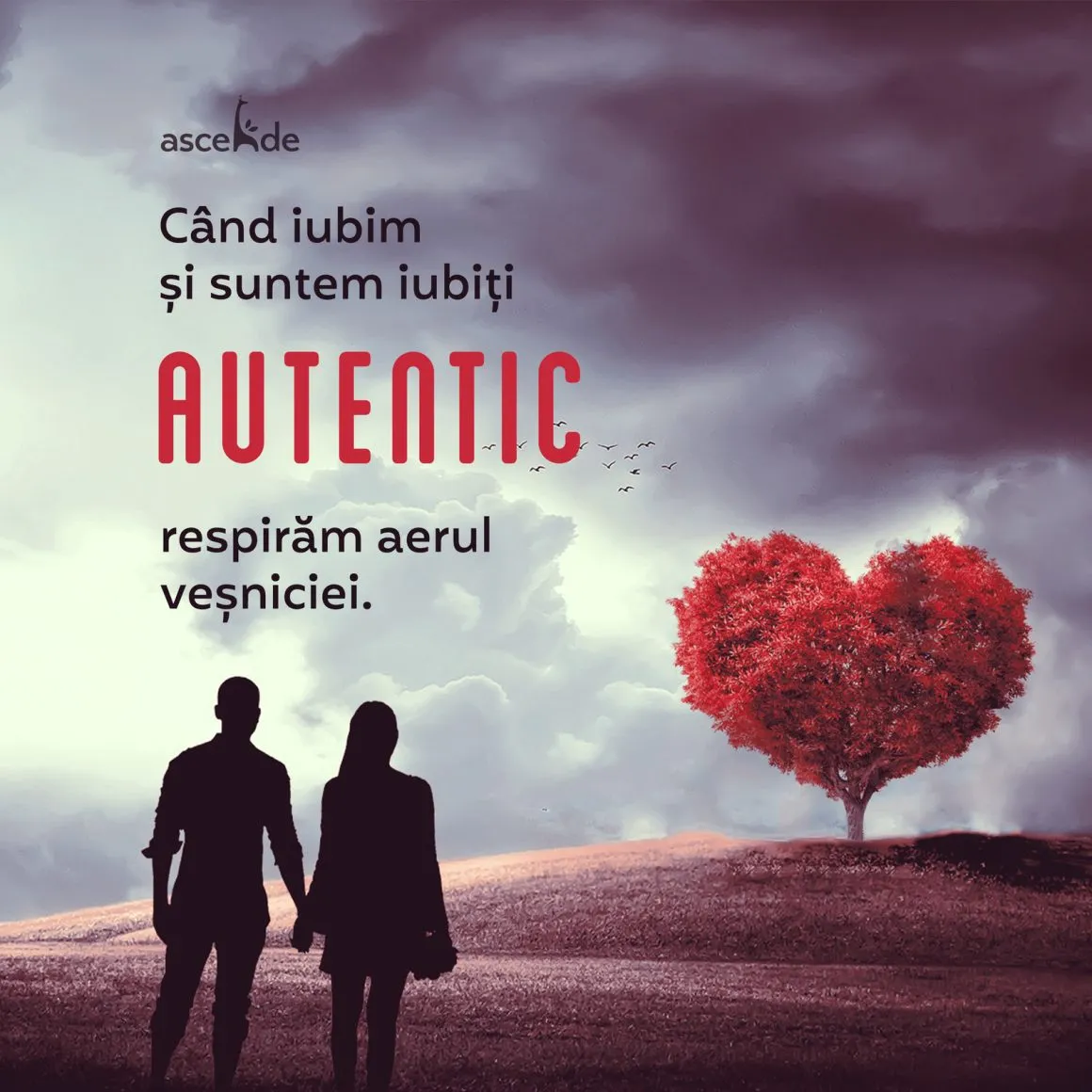 Când iubim și suntem iubiți autentic respirăm aerul veșniciei.