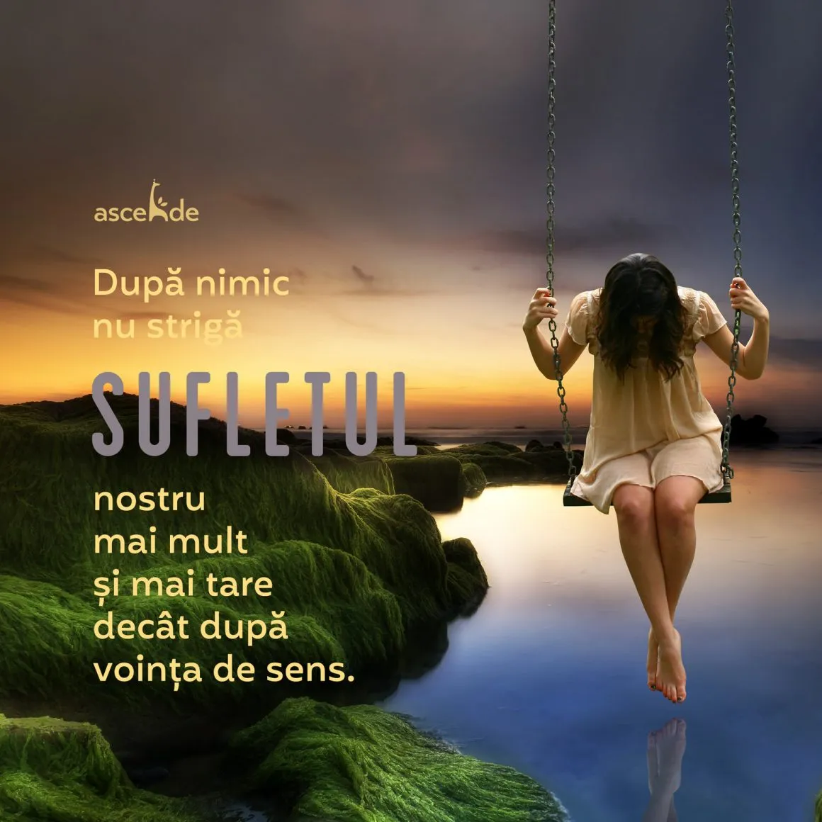 Adevărul este că după nimic nu strigă sufletul nostru mai mult și mai tare decât după voința de sens.