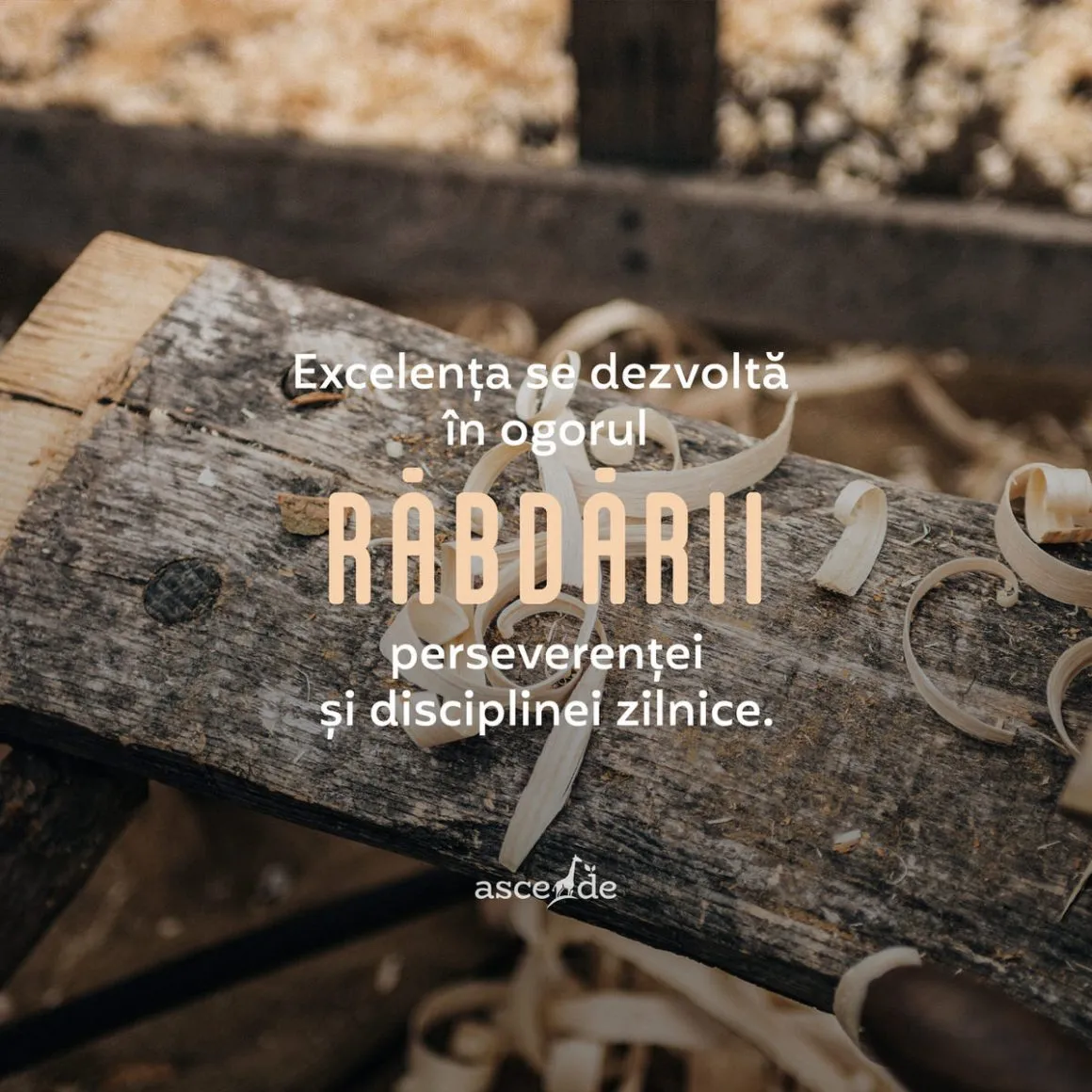 Excelența se dezvoltă în ogorul răbdării, perseverenței, disciplinei de a investi cât mai eficace, timpul, precum și al deciziilor ferme de a nu face compromis cu visurile tale.