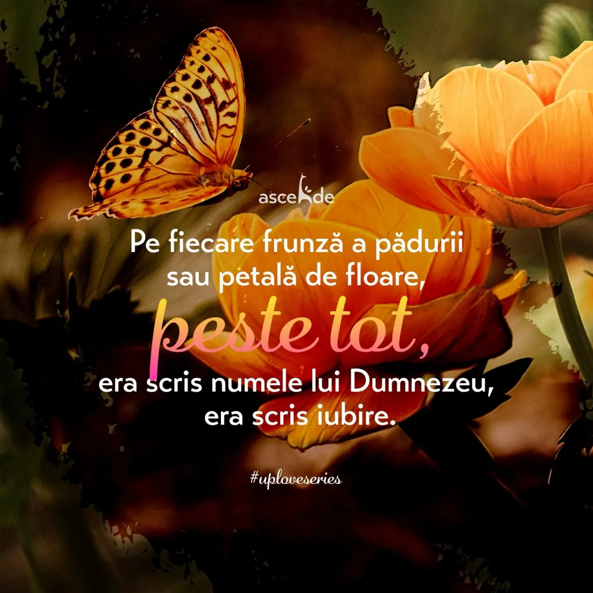 Pe fiecare frunză a pădurii sau petală de floare, peste tot, era scris numele lui Dumnezeu, era scris iubire.