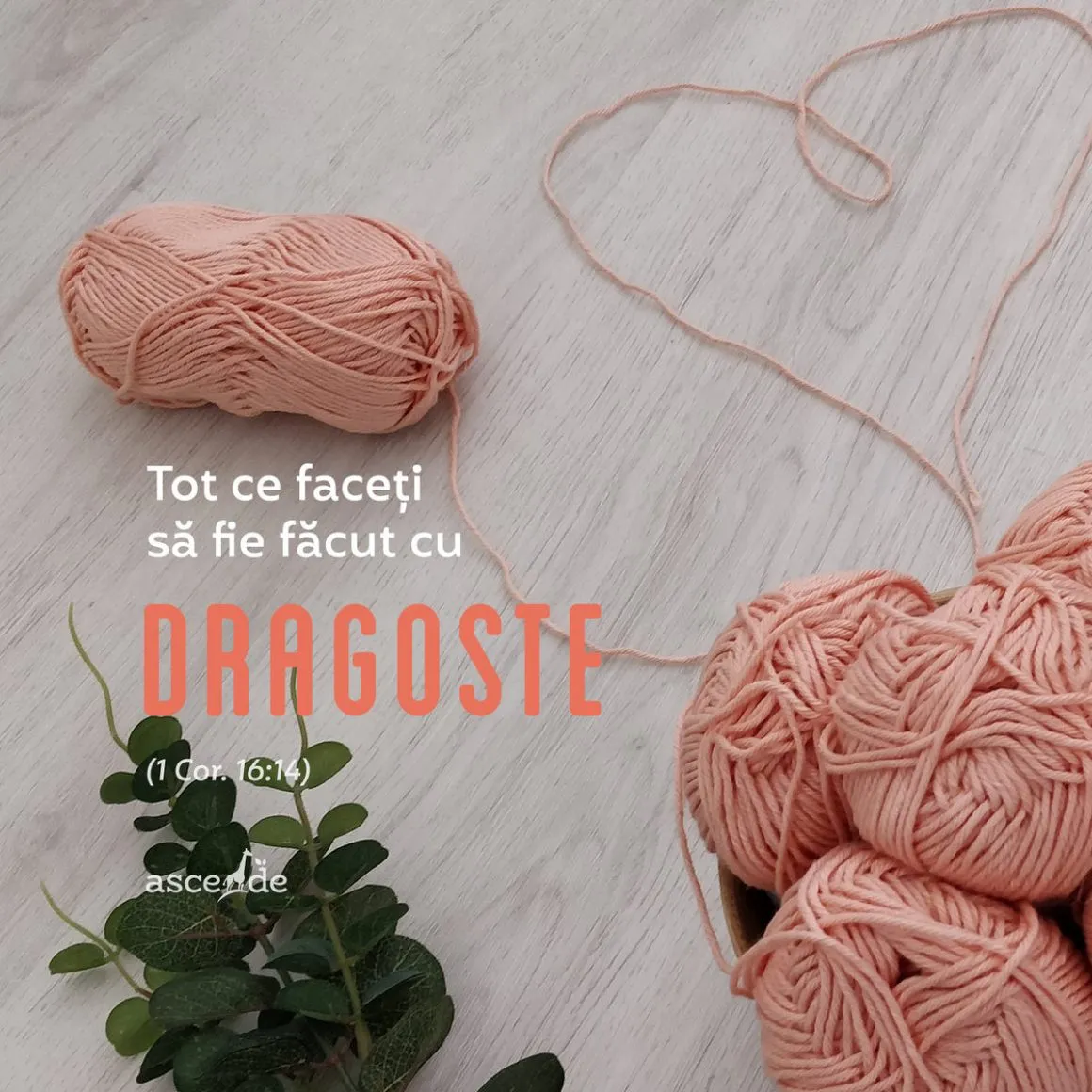 "Tot ce faceti sa fie facut cu dragoste!" (1Cor.16:14).