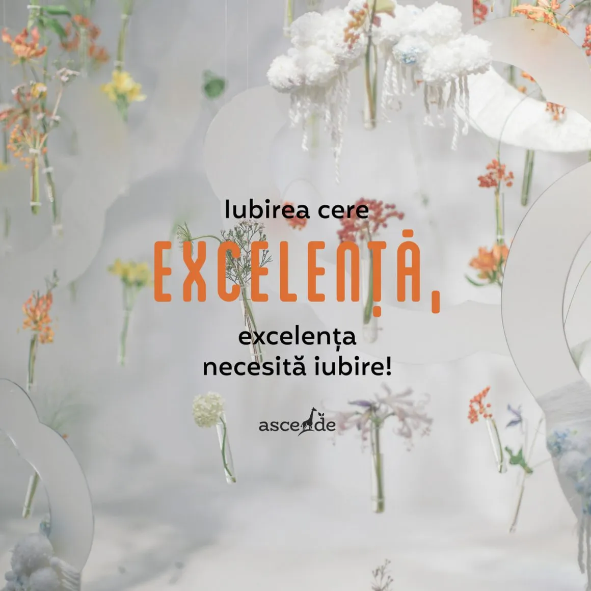 Iubirea cere excelență, iubirea te îndeamnă la excelență, iubirea înseamnă trăirea în excelență iar excelența cere iubire.
