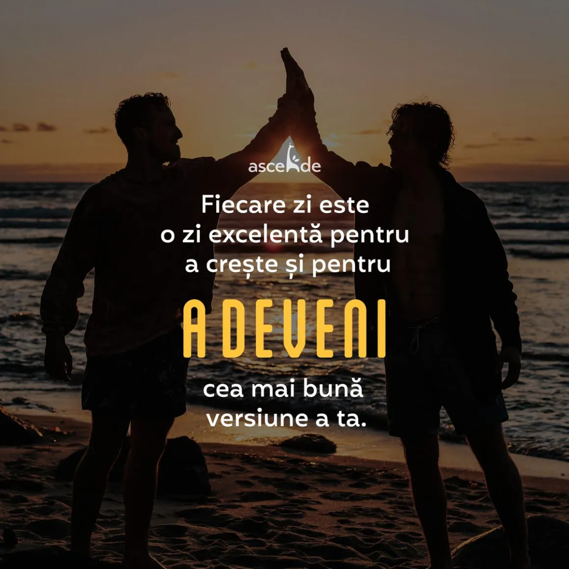 Din fericire, fiecare zi este o zi excelentă pentru a crește și pentru a deveni cea mai bună versiune a ta.