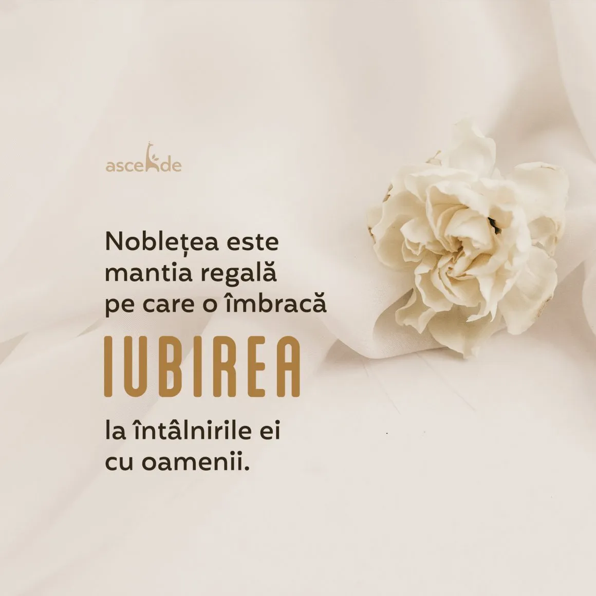 Noblețea este mantia regală de Șinear pe care o îmbracă Iubirea la întâlnirile ei cu oamenii.