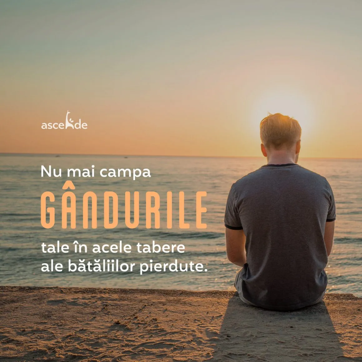 Nu mai campa gândurile tale în acele tabere ale bătăliilor pierdute
