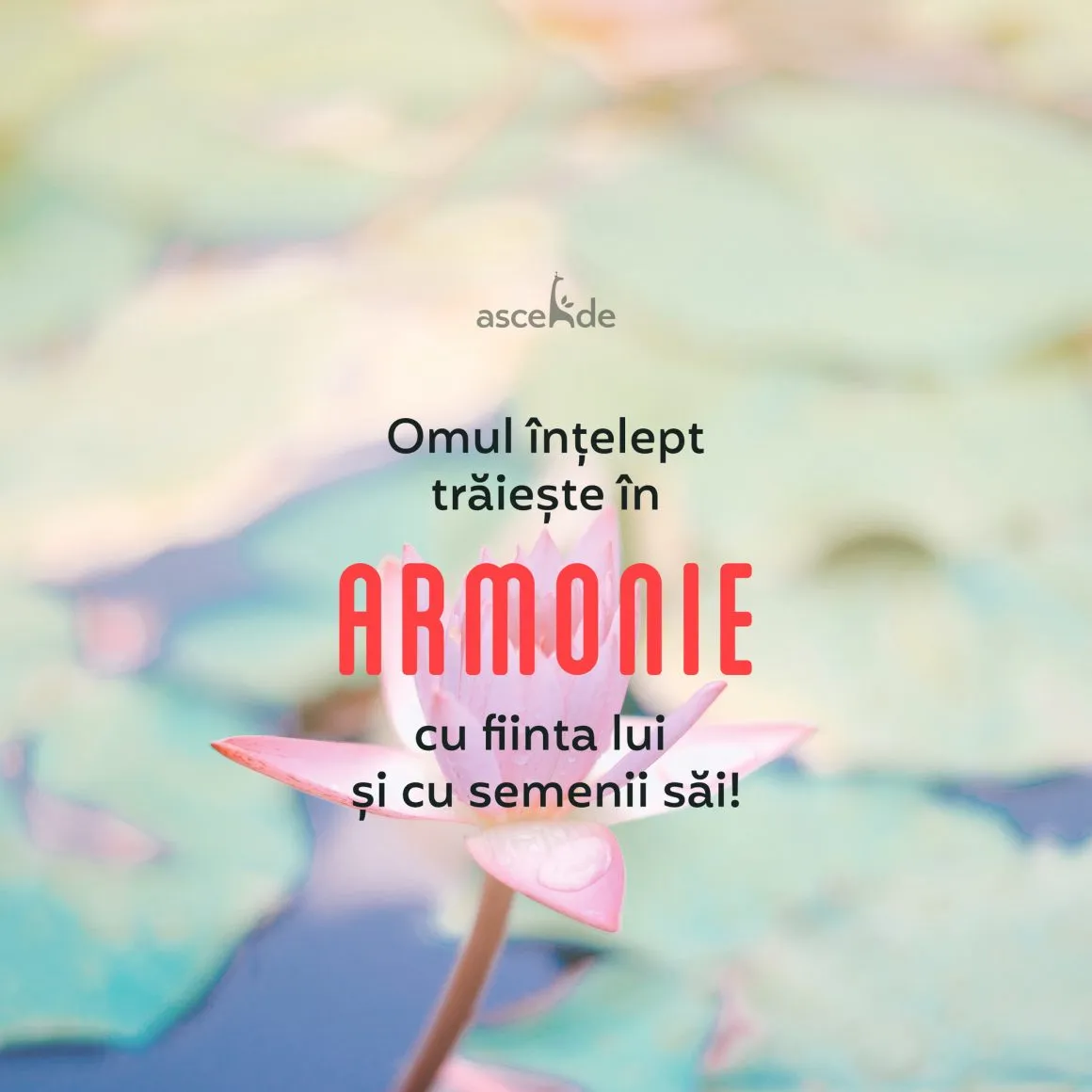Omul înțelept trăieste în armonie cu fiinta lui și cu semenii săi!